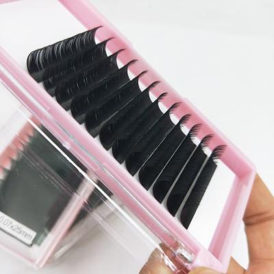 China Jet Black Private Label Las Supplies Fan 25mm Premium Easy Volume Tray Mink Cashmere Eyelash Extension Premade Matte Lashextensions for sale