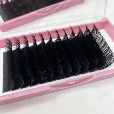 China Sensitive LOOP Superroot Eyelash Extensions Dual Density Private Label Eyelash Extensions Silk Eyelash Extensions Fans Lash Trays for sale