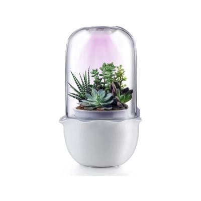 China American Style Plant Smart Succulent Pot with Drain Hole Timer Fan for Friend Bridesmaid Graduation Birthday for sale