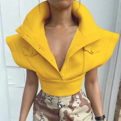 China Sustainable Blast Jacket 2021 Pocket Women Stand Collar Sleeveless Jacket Apparel Button Winter Clothes Zipper Coated Jackets Bubble Women Invest Coat for sale