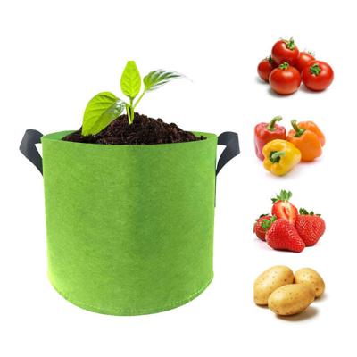 China Wholesale 1 to 100 Gallon Biodegradable Green Plant Felt Durable Grow Bag For Plant for sale