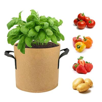 China Wholesale Durable 1 to 100 Gallon Biodegradable Fabric Felt Durable Grow Bag for Plant for sale