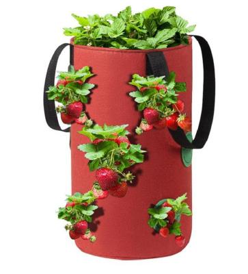 China Gardens Outdoor Upside Down Planter Hanging Plants Plants Tomato Strawberry Grow Bags With Hole for sale