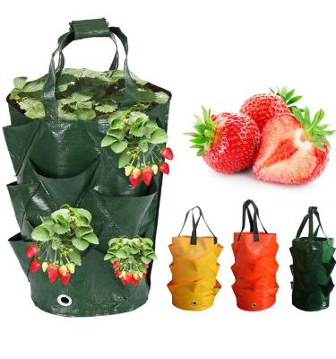 China Multi Color 3 Gallon PE Hanging Strawberry Plant Growing Plant Grow Bags Grow Bags For Plant for sale