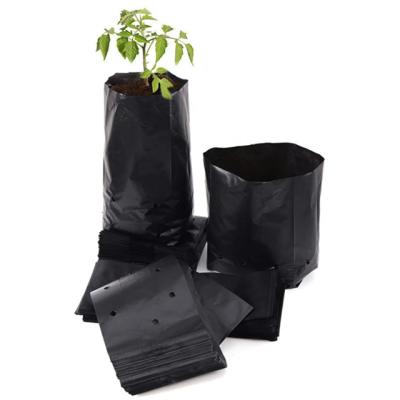 China Factory Wholesale Durable Black PE Poly Grow Bags For Plant With Drain Holes for sale