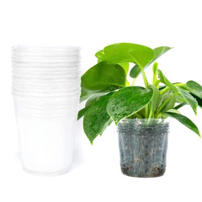 China Durable Soft Durable Soft Starter Containers Planter Cups Transparent Plastic Planting Seed Starting Pot for sale