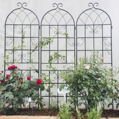 China Easily Assembled Easily Assembled Flower Wall Trellis Plant Metal Garden Climbing Trellis for sale