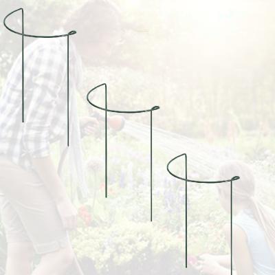 China Europe Metal Half Europe Round Plant Support Trellis Garden Circle Metal Plant Arch Support for sale