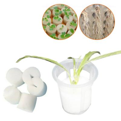 China Modern Wholesale Hydroponic System Growing Plants Soil Net Pot for sale