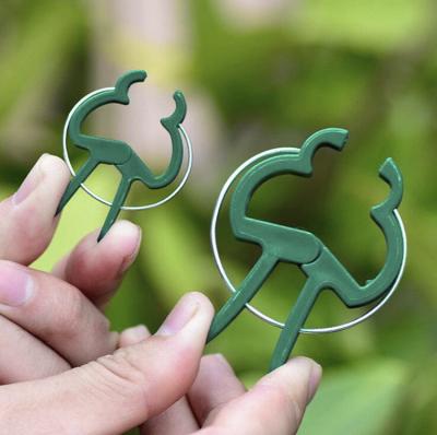 China Europe Manufacturer Plastic Clip Large and Small Garden Orchid Tomato Plant Support Spring Steel Clips for sale