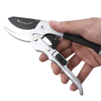 China Anti-skid Handle Fruit Tree Branch Labor Saving Pulley Professional Thick Pruning Scissors for sale