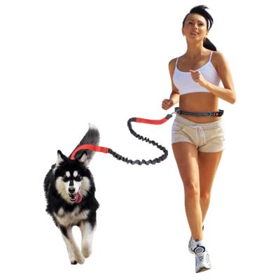 China Personalized Pet Leash For Running Amazon Dog Pull Explosion Proof Elastic Nylon Freely Retractable Jogging Leash for sale