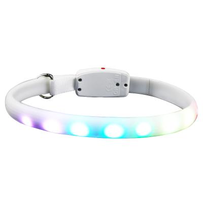 China Large Dog Lights Luminous Collar USB Charging Collar Pet Supplies Can Be Cutting Dog Collar for sale