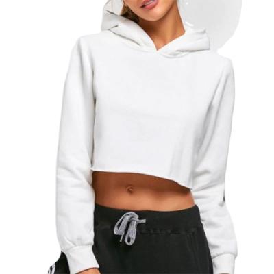 China 2021 Custom Garment Factory Solid White Long Sleeve Crop Logo Anti-Shrink Top Hoodies For Women for sale