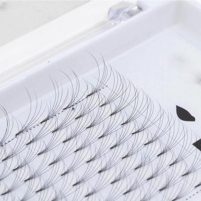 China Seashine Long Natural Volume 3D/4D/5D/6D Eyelashes Short Rod Pre Made Fans Silk Soft False Mink Lash Extension Different Lashes for sale