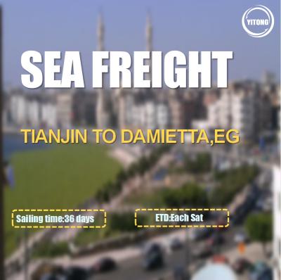 China FOB CIF International Sea Freight Logistics From Tianjin To Damietta Egypt for sale