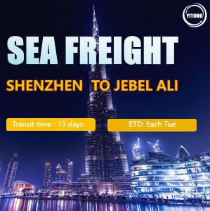 China Frete de mar internacional de Shenzhen a Jabel Ali UAE à venda