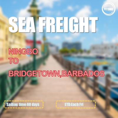 China Ningbo To Bridgetown Barbados Sea Freight Forwarding Services Via Kingston for sale