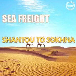 China Ocean Sea Freight From China To Egypt Sokhna International Freight Forwarder for sale