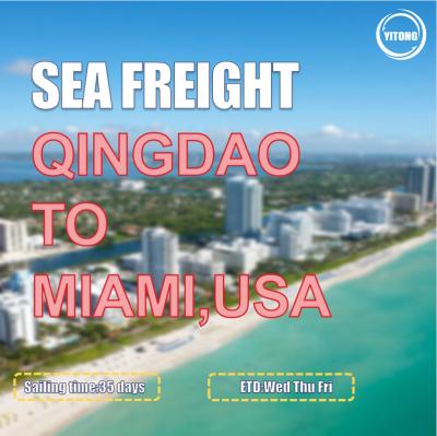 China 35 Days China To USA Sea Freight Forwarders From Qingdao To Miami Port To Port for sale