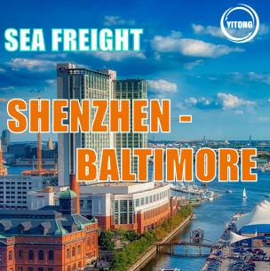 Κίνα NVOCC Global Sea Freight Logistics Service από το Shenzhen της Κίνας στη Βαλτιμόρη ΗΠΑ προς πώληση