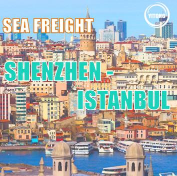 China 25 days International Sea Cargo Shipping Logistics  From Shenzhen To Istabul zu verkaufen