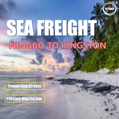 China Internationale Seefracht UHRKETTE CIF von Ningbo zu Kingston Jamaica zu verkaufen