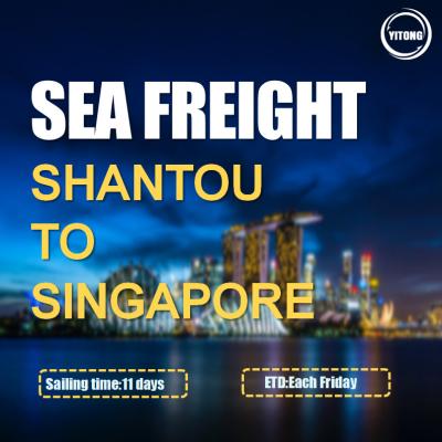 Cina Shantou To Singapore International Sea Transportation service Direct Sailing in vendita