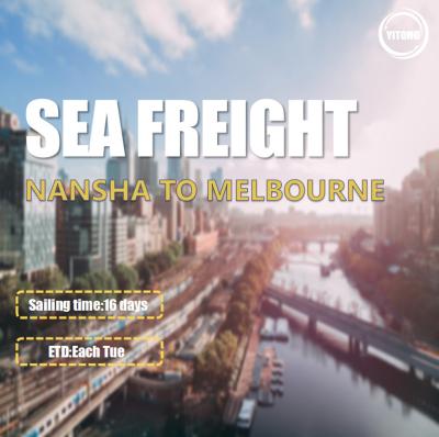 Cina 16 trasporti via mare internazionali di giorni che spediscono da Nansha a Melbourne Australia in vendita