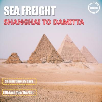 Cina 3 spostamenti/logistica globale Shanghai trasporti via mare di settimana alla navigazione diretta di Damitta Egitto in vendita