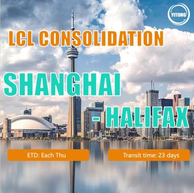 China China Confiable FCL LCL Consolidación de envío a todo el mundo o servicio de envío en contenedores en venta