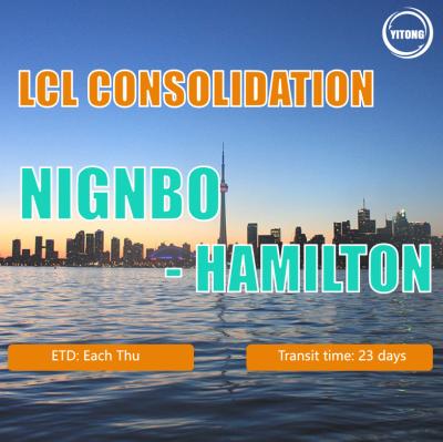 China China Profesional de envío Logistis a Hamilton o FOB Tianjin LCL Consolidación de envío en venta