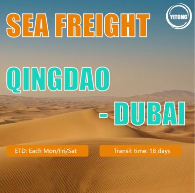 Китай International Professional FCL LCL Sea Freight Forwarder to Dubai From China продается