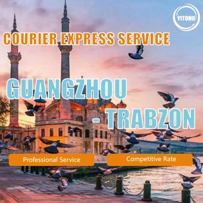 Chine Expéditeur/agent de transport maritime/transporteur maritime/transporteur aérien/express de Chine à l'Egypte/Turquie à vendre