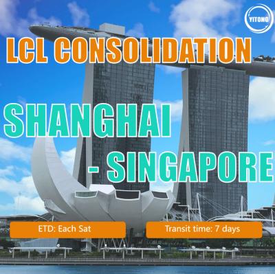 China LCL Shipping Agent Seefracht von Shanghai nach Singapur zu verkaufen