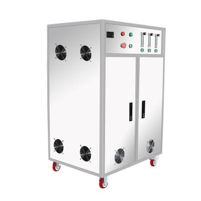 China Durable 300G Ozone Generator Food Factory Sterilization and Odor Sewage Treatment High Quality Disinfection in Public Places for sale