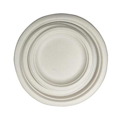 China Sustainable Wholesale Disposable Disposable Disposable Dishes Party Stylish Disposable Dishes for sale