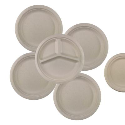 China Disposable Viable Sugar Cane Paper Plate The Natural Bagasse Dish Biodegradable Dish for sale