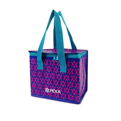 China New Product Waterproof Tote Laminated Laminate Eco PP Woven Fruit Cooler Bag for sale