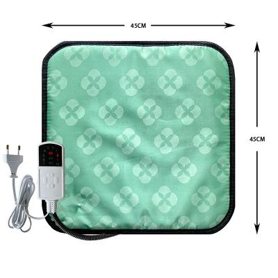 China Environmental Friendly Pet Electric Heated Heated Covering Waterproof Heating Blanket for sale