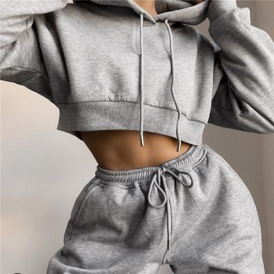 China Wholesale Custom Logo Women QUICK DRY 2 Pieces Drawstring Joggers Long Sleeve Sweatpants Crop Hoodie and Joggers Set Tracksuit for sale