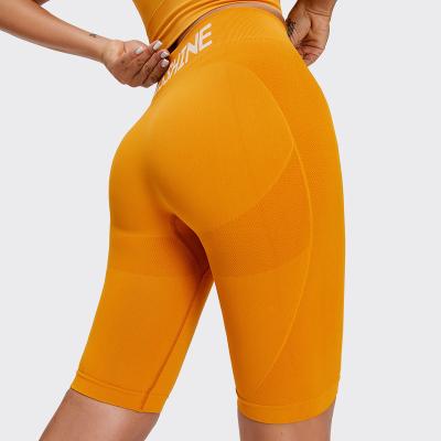 China Various Features Breathable Thin Hot Sexy Sports Wear Shorts Seamless Women Athletic Running Plus Size Women's Shorts for sale