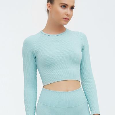 China Wholesale Women's Breathable Sports Wear Lady Sporty Crop Top Spandex Fitted Sleeve Tops Cropped Top Fashionable Slim Sexy Long Waist Sweatshirt for sale