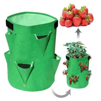 China Colored Greenhouse Eco - Friendly Hydroponics Outdoor Nonwoven Strawberry Grow Bags for sale