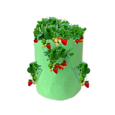 China Eco-friendly Hot Sale Plastic Strawberry Amazon Vegetable Flowers Grow Bags for sale