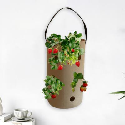 China Eco - Friendly Strawberry Tomato Hanging Potato Grow Sack Planting Sack With Holes for sale