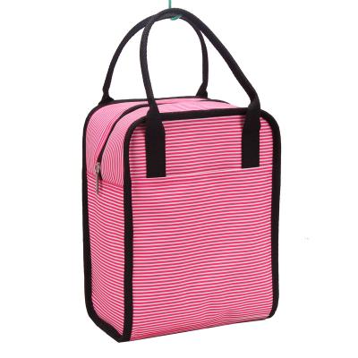 China Best Fancy Design China Factory Fashion Polyester Double Handle Lunch Cooler Bag Waterproof for sale