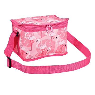 China Waterproof Polyester Cloth 6 Box Cooler Bag With Fashion Spring Summer Pattern Design for sale