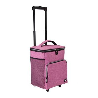 China Good Quality Polyester Matt Cationic Canvas Trolley Cooler Wholesale Waterproof Portable Bag for sale