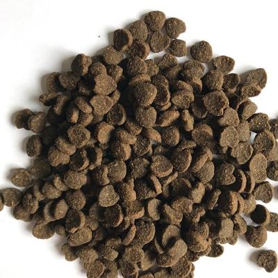 China Best Viable Natural Home Delivery Brands Pet Food for Dogs for sale